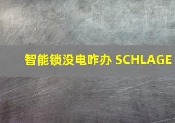 智能锁没电咋办 SCHLAGE